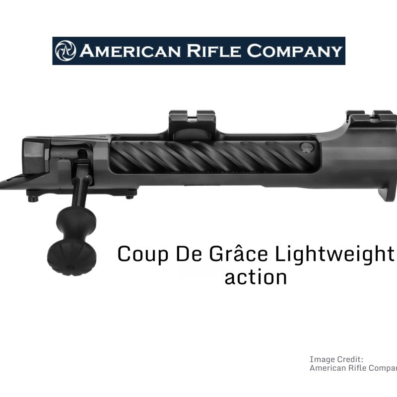 Chassis for American Rifle Company Actions