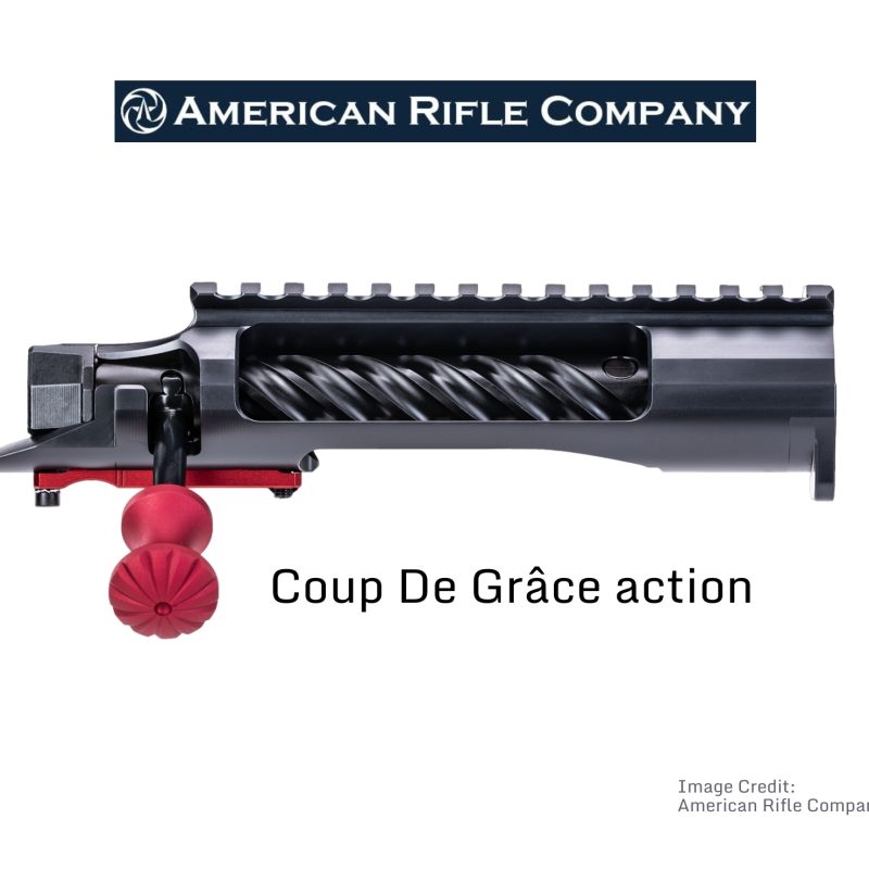 Chassis for American Rifle Company Actions